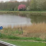 Bed & Breakfast Zomerdijk Velsen-Zuid