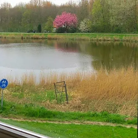 Bed & Breakfast Zomerdijk